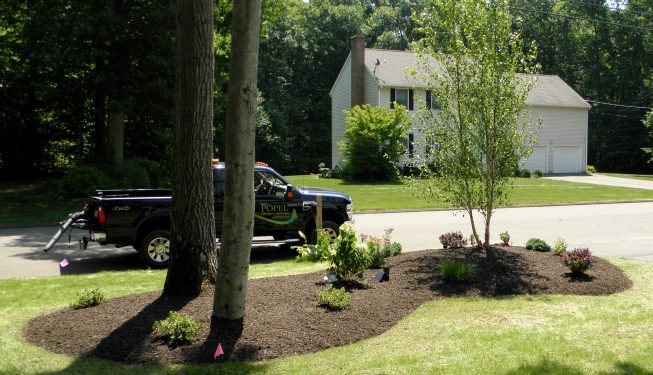 Front Yard Island | POPEL Landscaping and Design, LLC